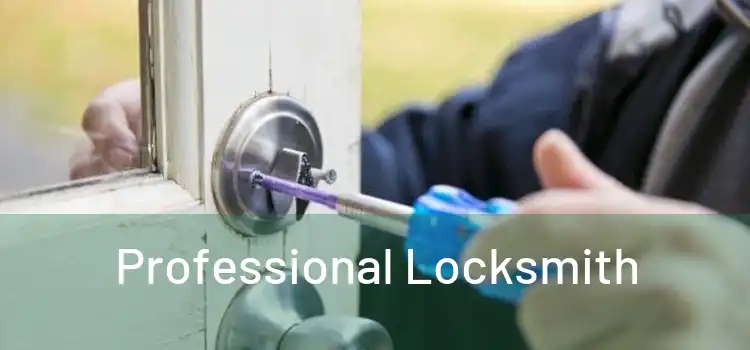  Professional Locksmith 